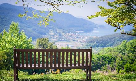 Vacaciones: El valor del descanso como oportunidad para renovar fuerzas