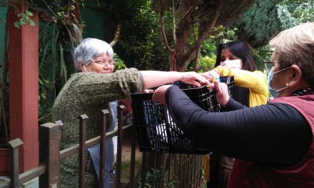 La Pérgola de la Solidaridad de Quepe y el alegre servicio a la comunidad