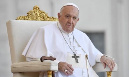 El Papa: Usar los medios digitales con sentido crítico