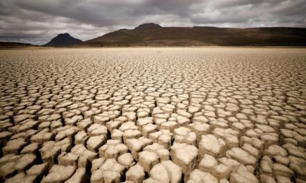 Tiempo de la Creación: La Madre Tierra nos implora detener los abusos y destrucción