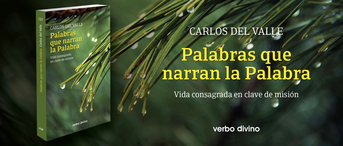 “Palabras que narran la Palabra”: nuevo libro del P. Carlos del Valle SVD